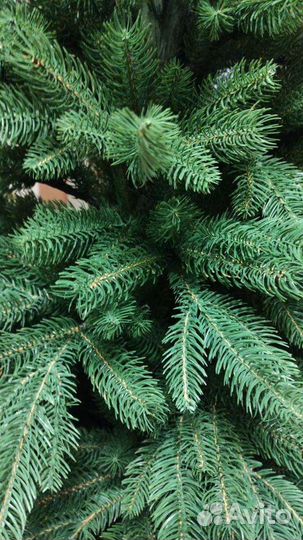 Елка искусственная литая 220 см