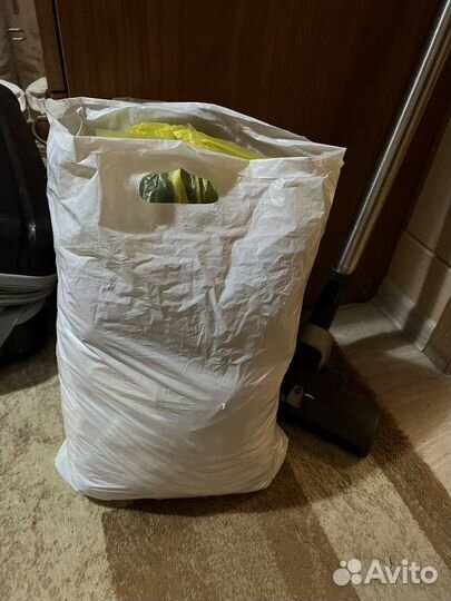 Пакет женских вещей xs