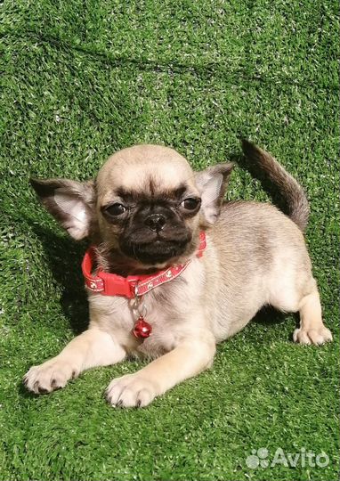 Мини девочка и мальчик