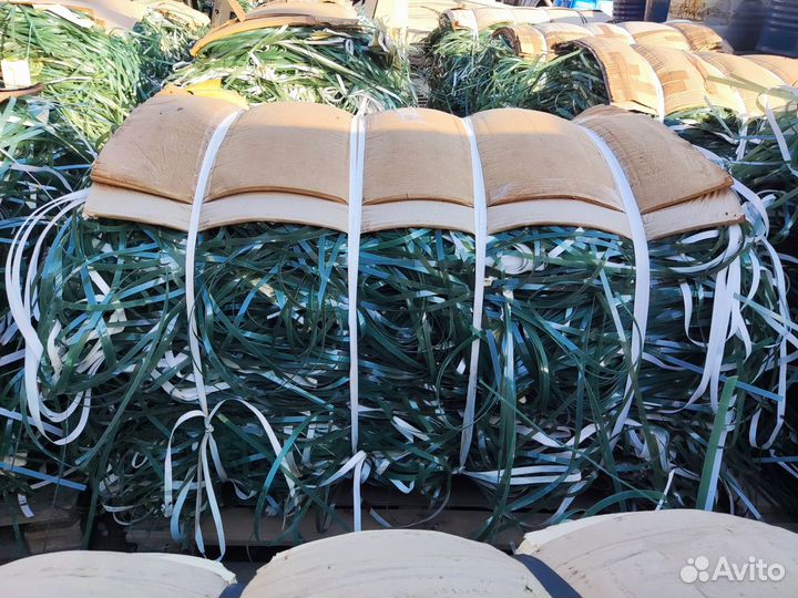 Отходы стреппинг ленты пп-пэт