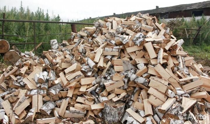 Дрова Береза