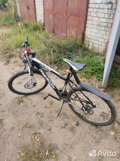 Tfs matts merida champion