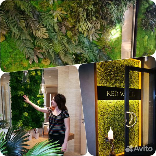 Панно. Картины. Стабилизированный мох. Арт189, от