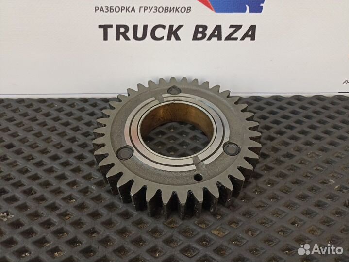 51542106042 Шестерня грм Man TGA, Man TGS, Man TGX