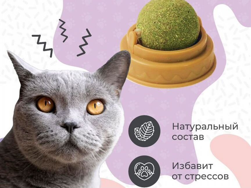 Лакомства для кошек