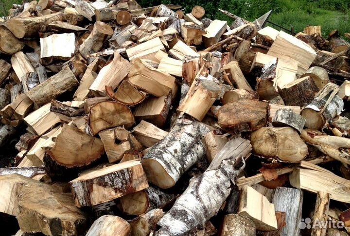 Кора березы