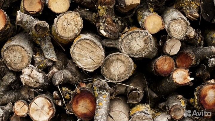 Дрова хорошие
