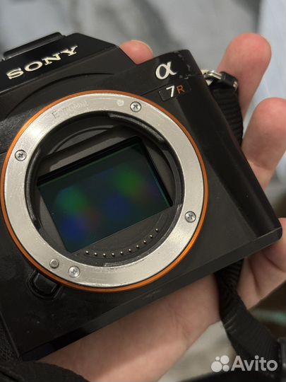 Sony alpha 7r