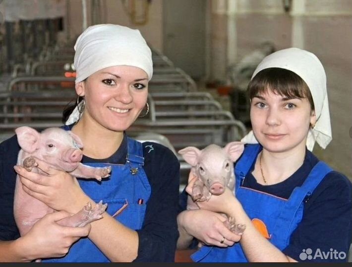 Оператор по уходу за животными