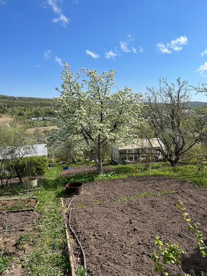 Дача 16 м² на участке 4,5 сот.