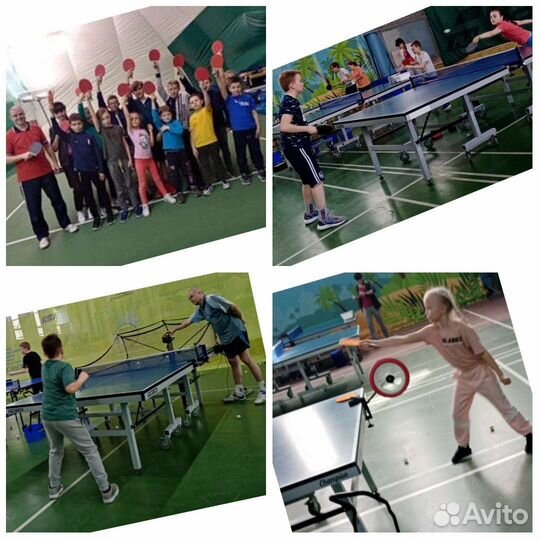 Детский Клуб настольного тенниса г Красногорск