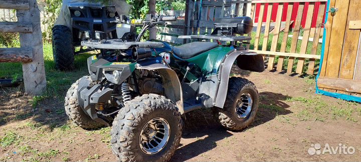 Квадрик Tiger Extra 175