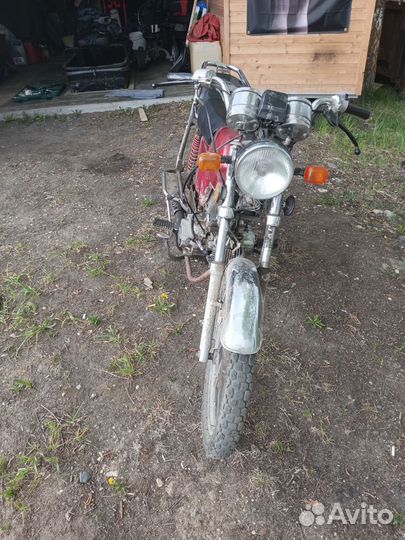 Альфа 110см²