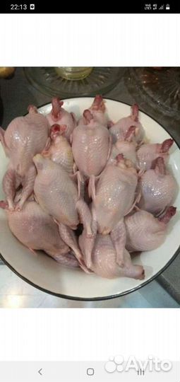 Мясо перепелов