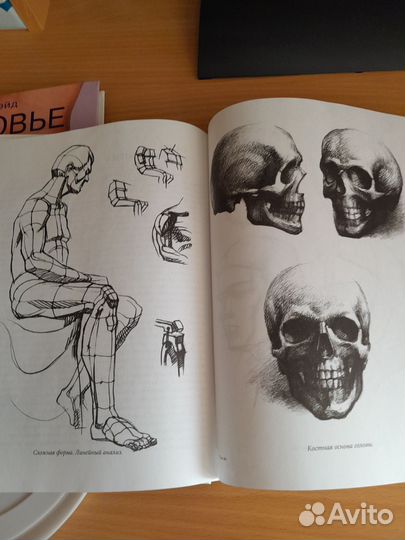 Техника рисунка