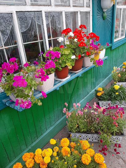 Дача 20 м² на участке 4 сот.