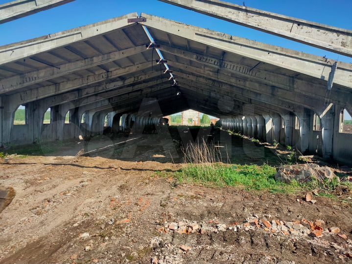 Здание, 5000 м²