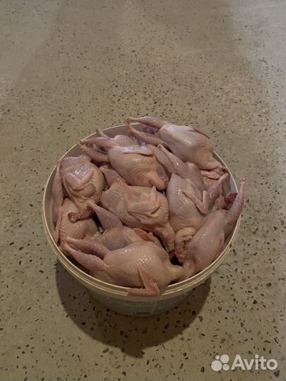 Перепелиное мясо