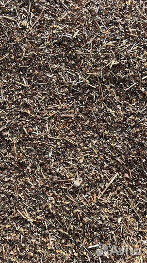 Отходы гречихи