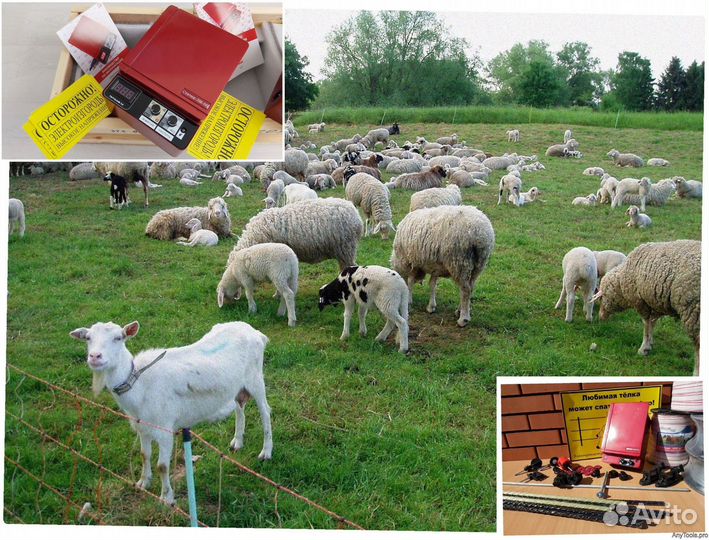 Электропастух