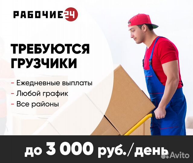 Грузчик подработка ежедневные выплаты