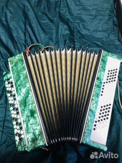 Баян Молодечно2