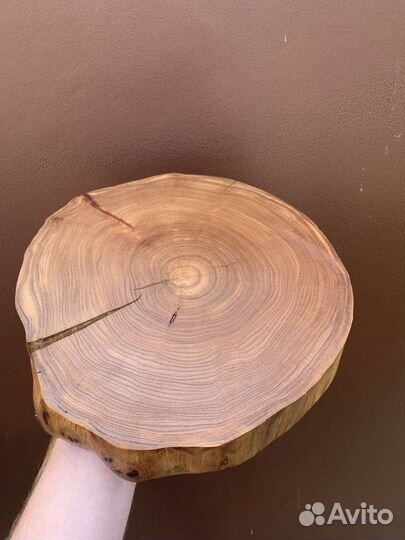 Торцевые спилы кавказского карагача