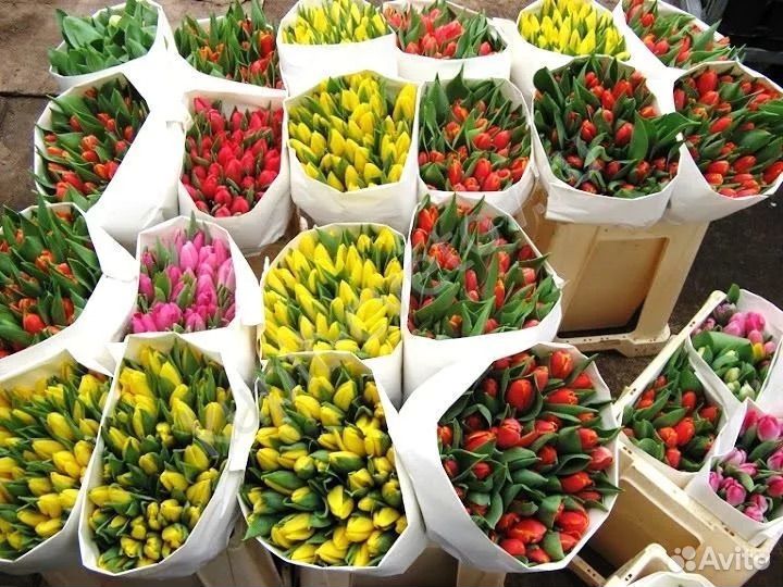 Цветы розы и букеты с доставкой