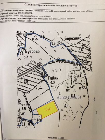 Участок 1,3 га (СНТ, ДНП)