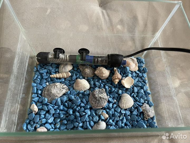 Аквариум с грунтом