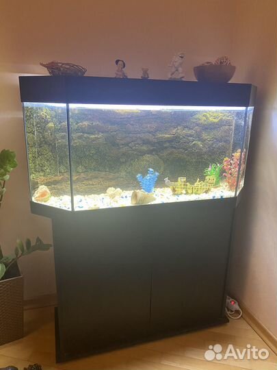 Аквариум