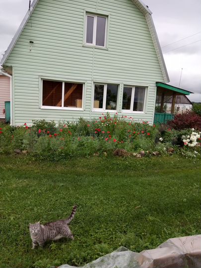 Дом 117 м² на участке 40 сот.