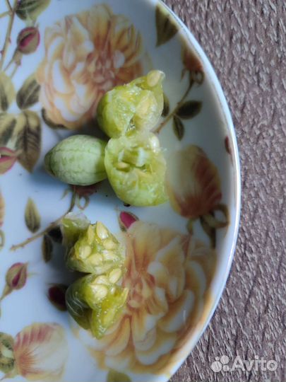 Огурцы арбузные