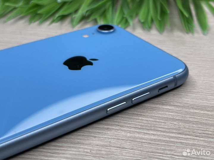 iPhone XR 64GB Blue