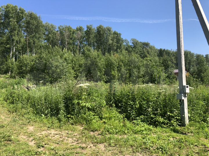 Участок 24 сот. (СНТ, ДНП)