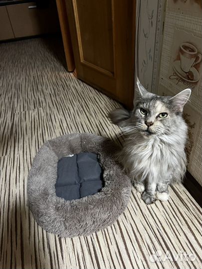 Лежанка для животных