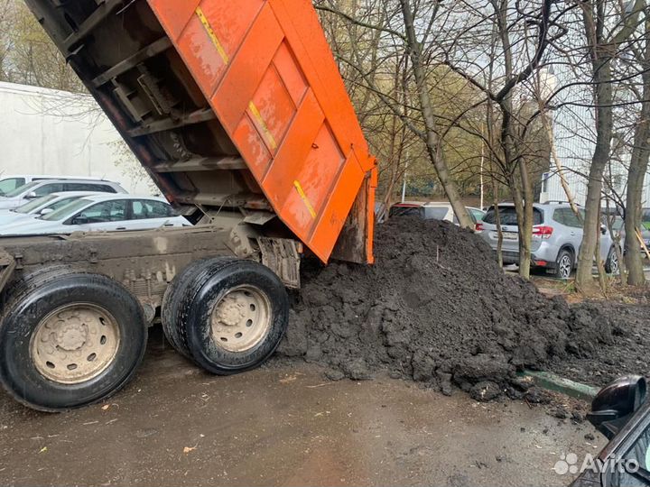 Чернозем