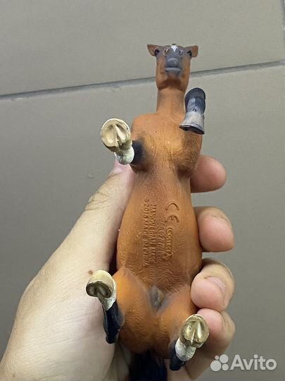 Ганновер кобыла