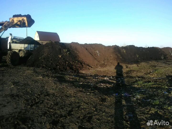 Перегной новоз