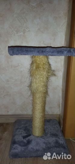 Когтеточка