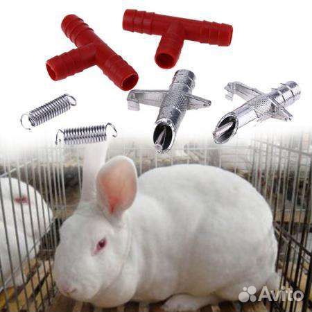 Поилки и кормушки для кроликов