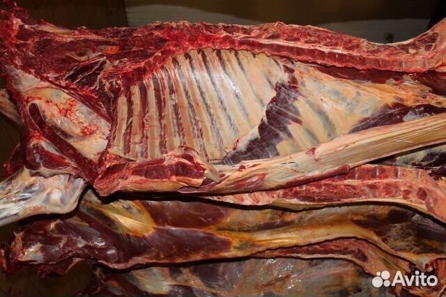 Мясо говядина для собак