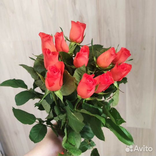 Букет из роз Almanza Премиум 60 см (11-101)