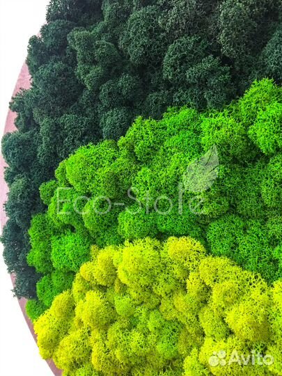 Круглая картина из мха