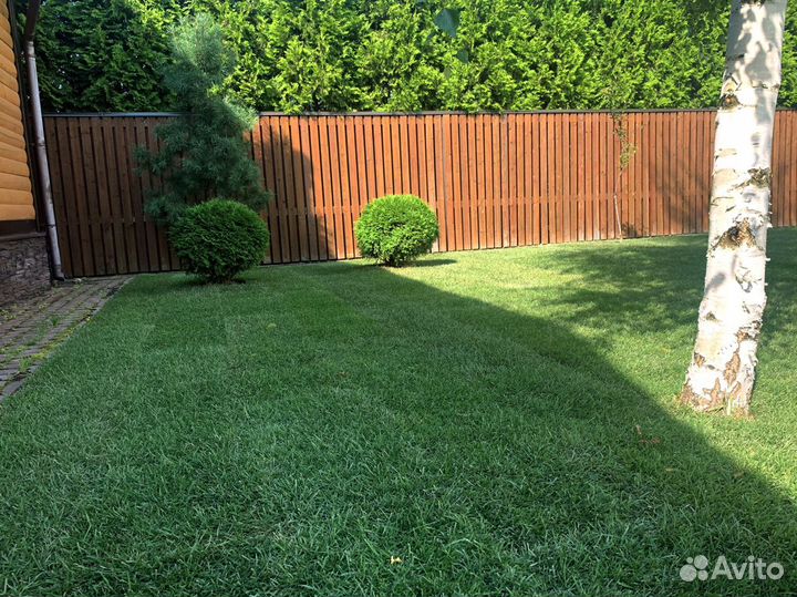 Рулонный газон