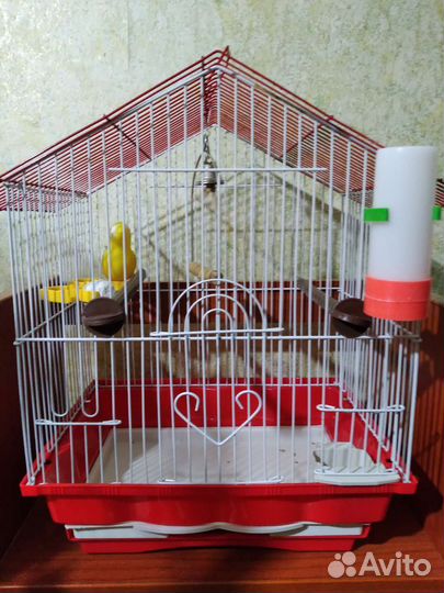 Клетки и переноски для попугайчиков и грызунов