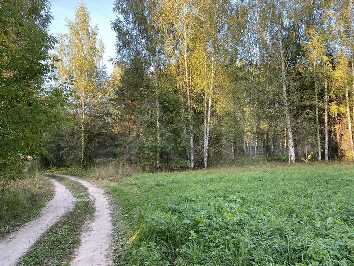 Участок 26 сот. (ИЖС)