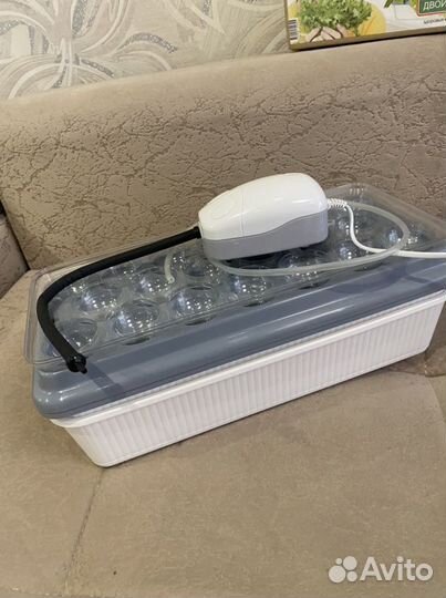 Домашняя « Чудо - грядка» (двойная)