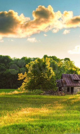 Участок 33 сот. (ИЖС)