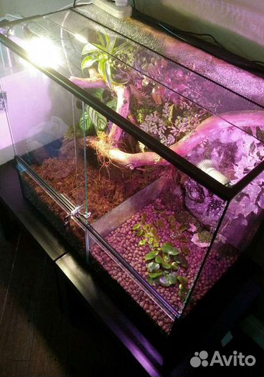 Террариумы для больших рептилий